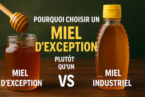 Pourquoi choisir un miel d’exception plutôt qu’un miel industriel ?