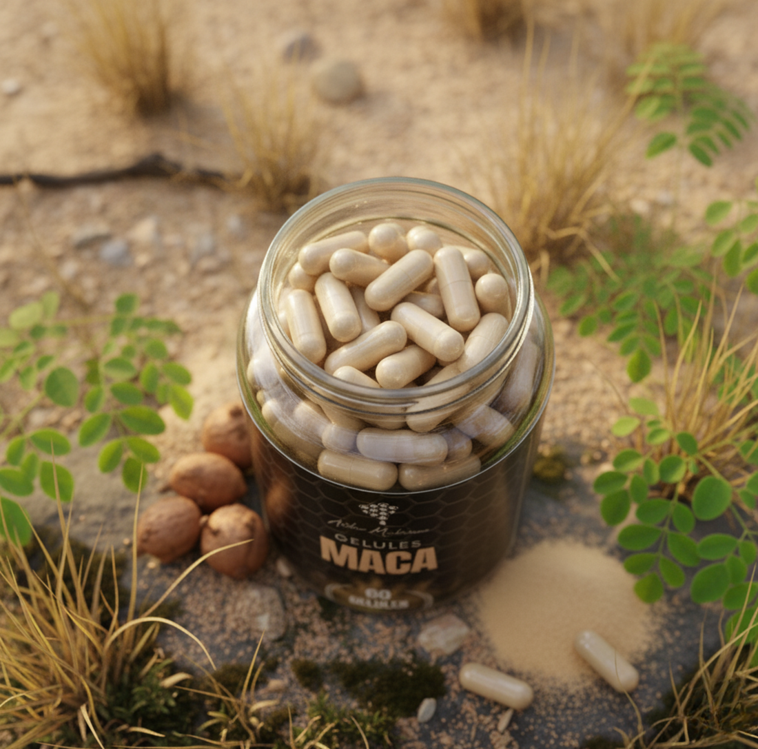 Gélules Maca