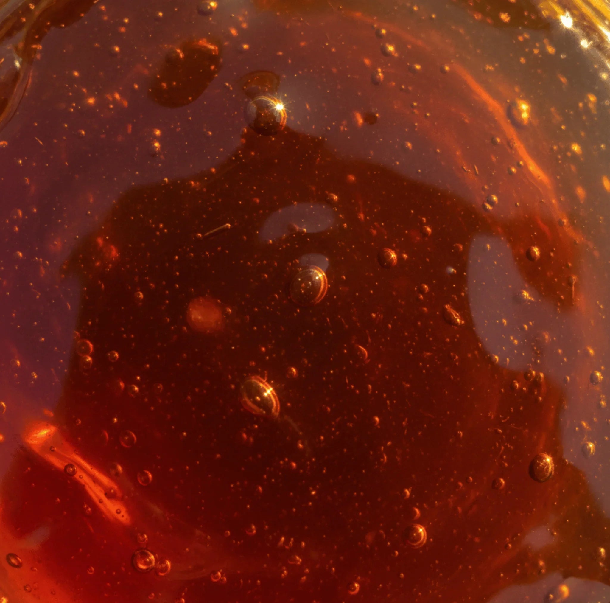 Miel Sauvage d'Afghanistan