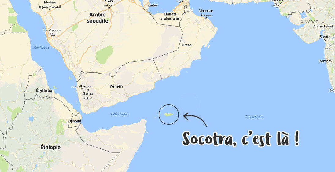 Miel de l'Ile de Socotra